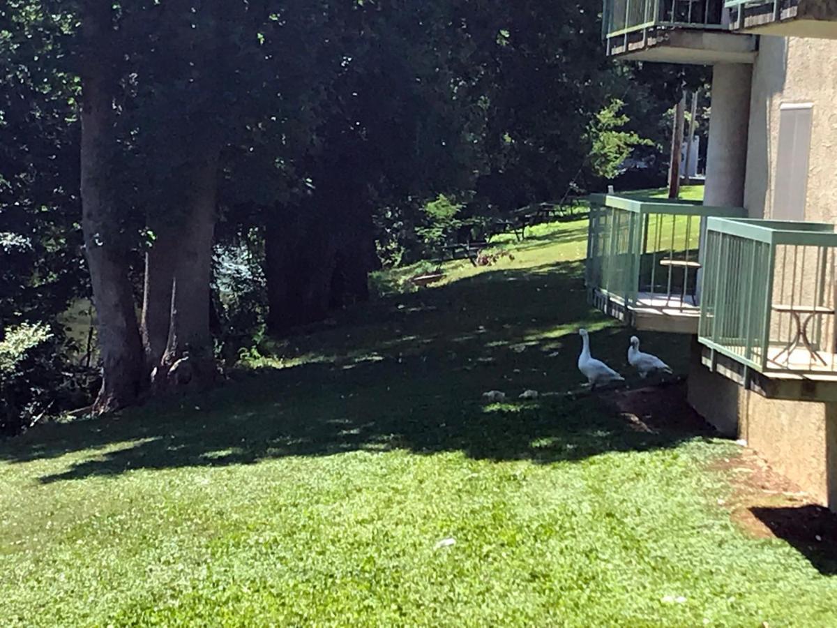 The River Cottage Pigeon Forge Εξωτερικό φωτογραφία